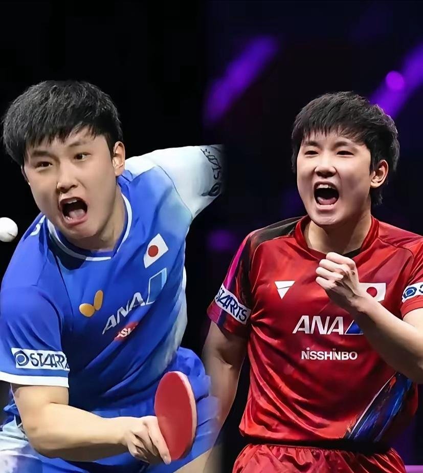 葡萄牙队翻盘奥地利队,张本智和刷新纪录 葡萄牙队翻盘奥地利队,张本智和刷新纪录