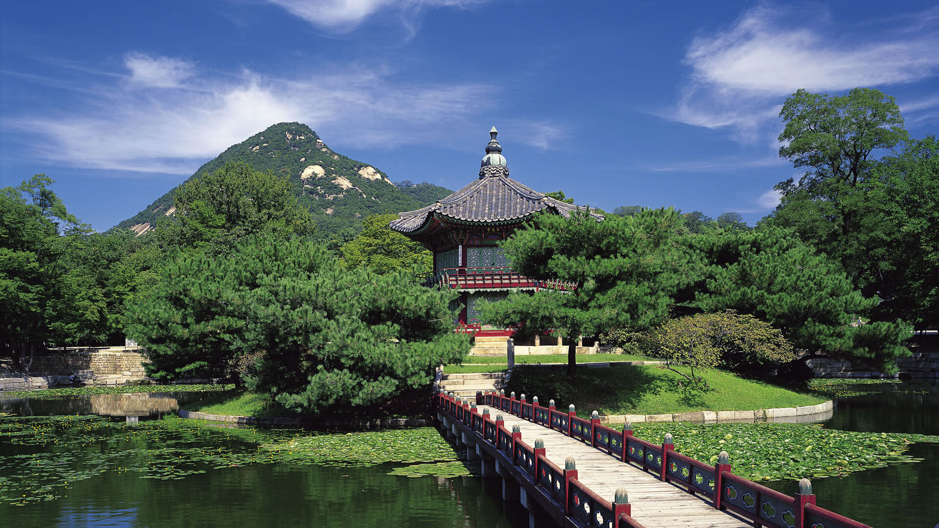 从戴维斯杯滑铁卢到美网加冕，德约科维奇如何以唯一性逆袭刷新历史