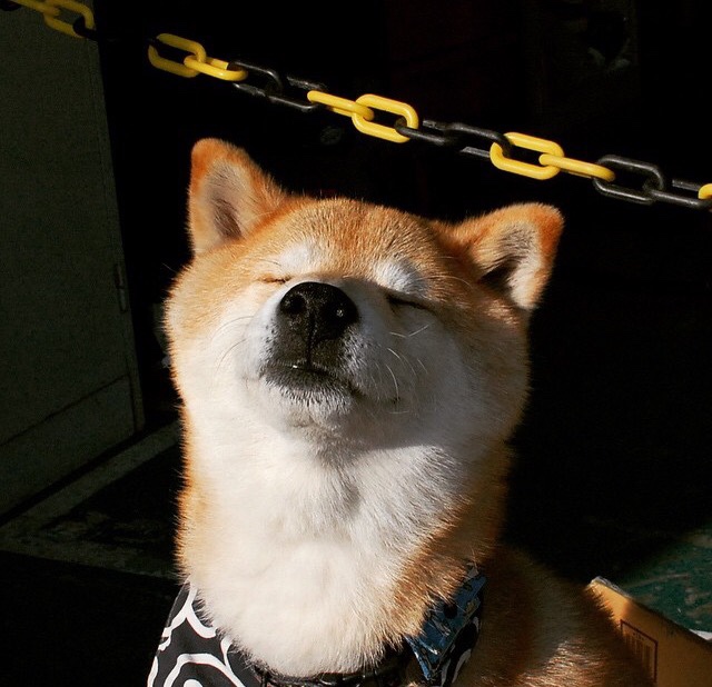 赛道上的银蓝交响曲,梅赛德斯鏖战雷诺,周冠宇的中国笔触惊艳四座