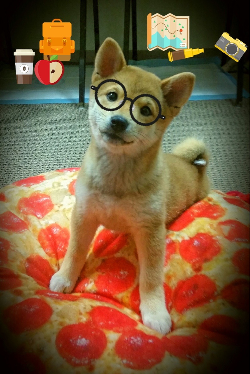 活塞引擎轰鸣，底特律以F1式攻防节奏压制雷霆