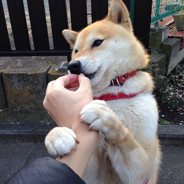 36小时轮回，从西班牙国家德比到费城东方风暴