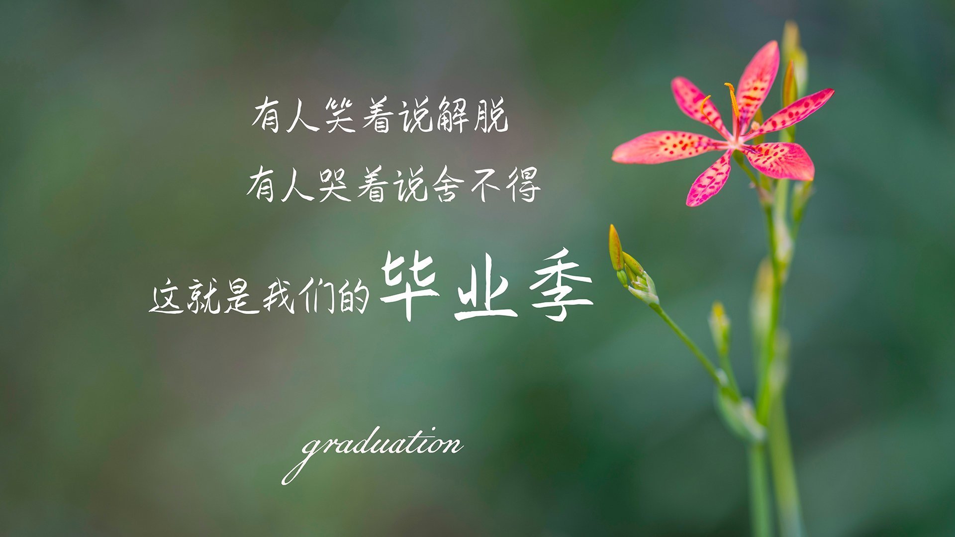 冰火碰撞！杰伦·格林的关键利刃如何刺穿吉林队的坚韧之盾