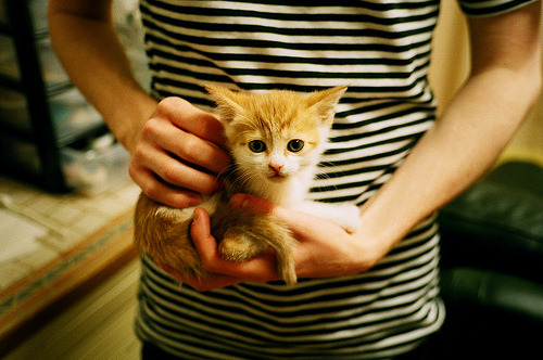 足球风暴终结政治僵局,哈兰德一场比赛踢入金砖,沙特如何强行终结南非犹豫