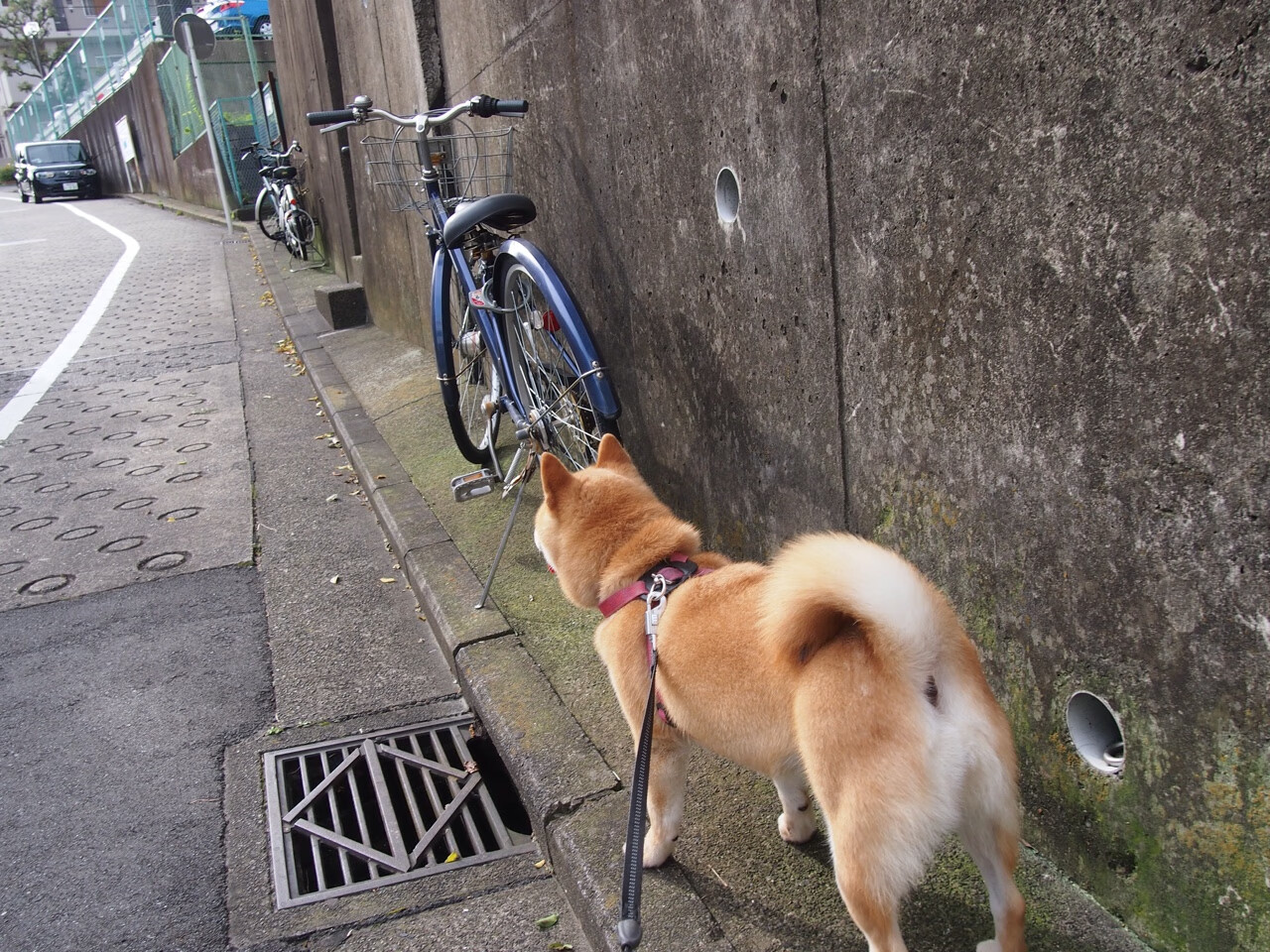 暗流与无声的闪电，当皇马凝视非洲，孙兴慜照亮亚洲足球的夜空