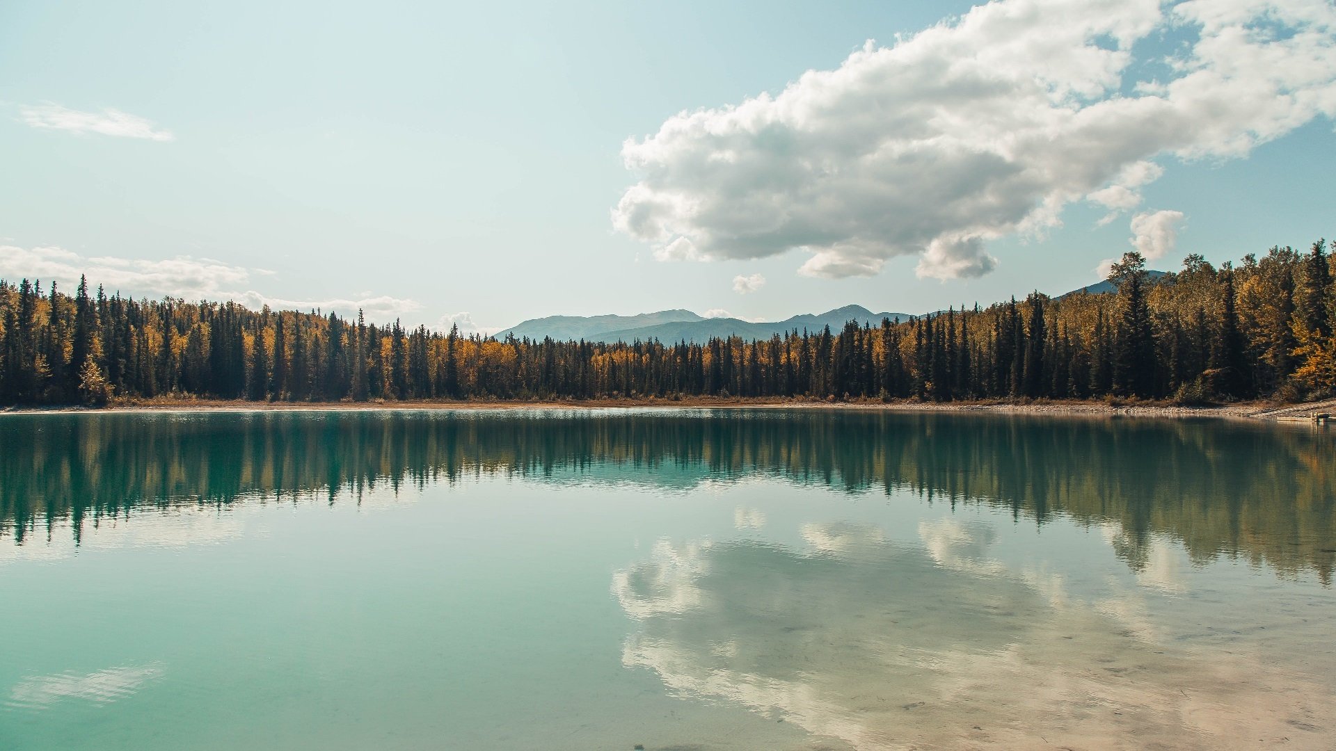 东方试炼,马刺对阵浙江队,马克西首秀即成全场焦点