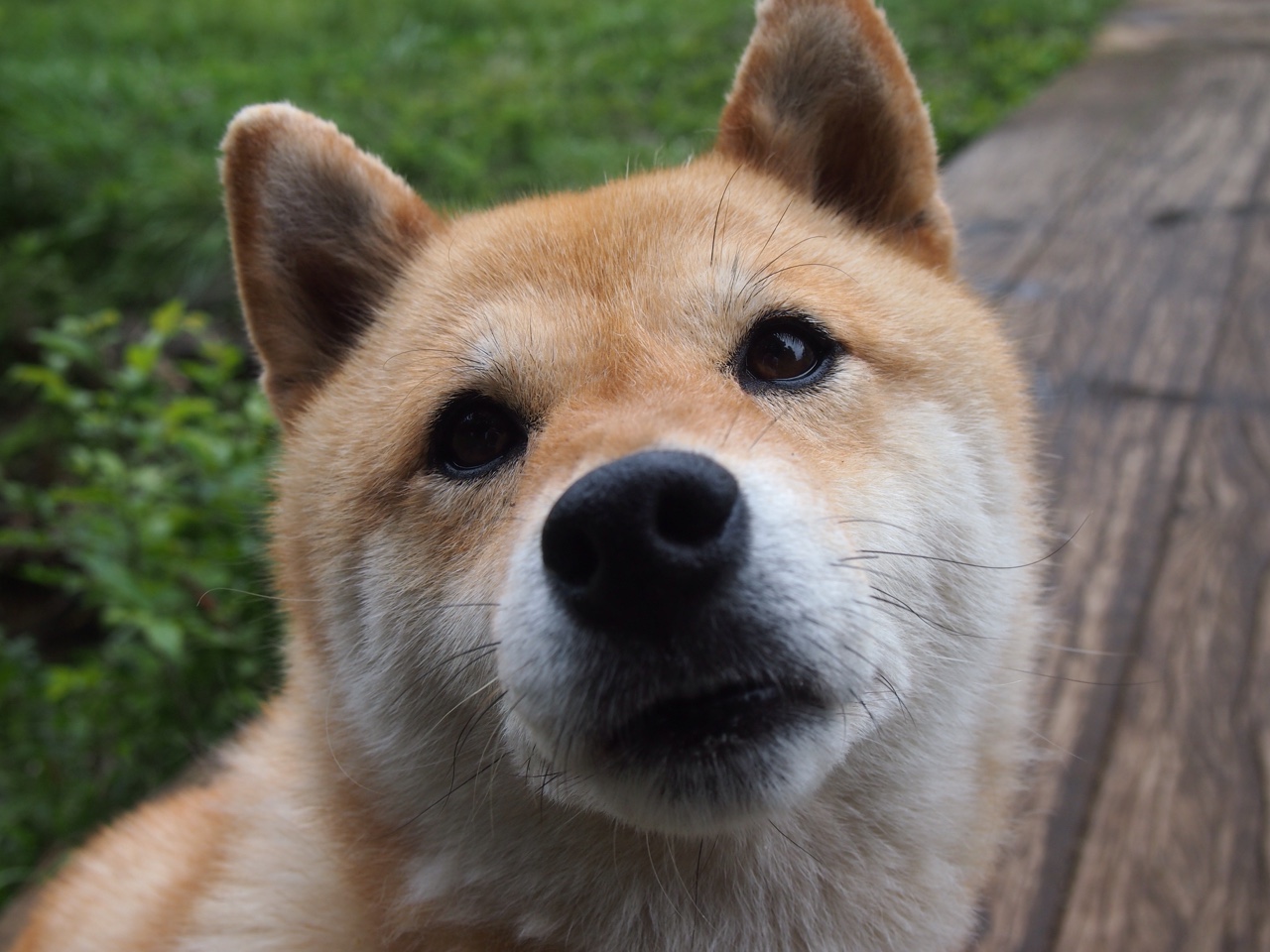 东西方门神,当中国队鏖战伊拉克时,门迪在亚平宁接管比赛