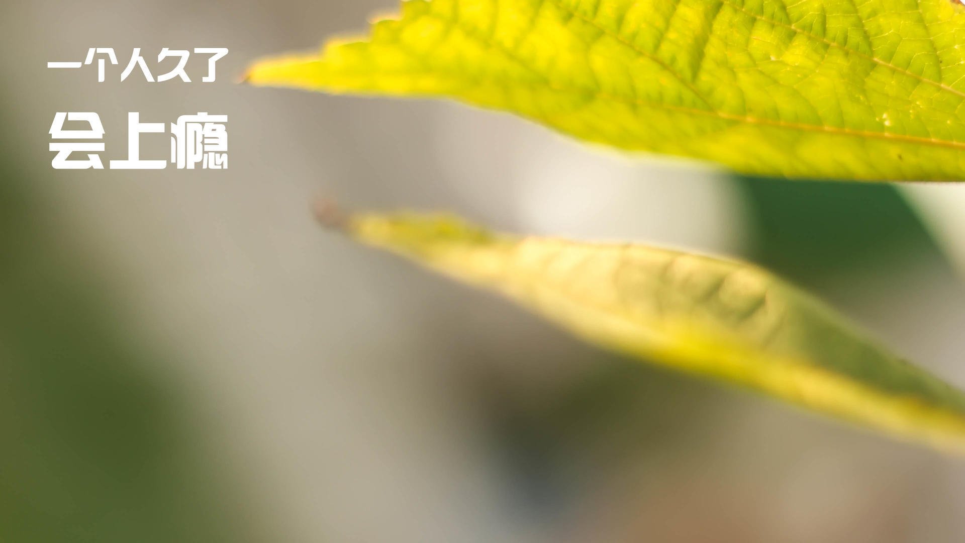 刺破夜色,当马刺精神一波带走深圳,欧文成为关键先生