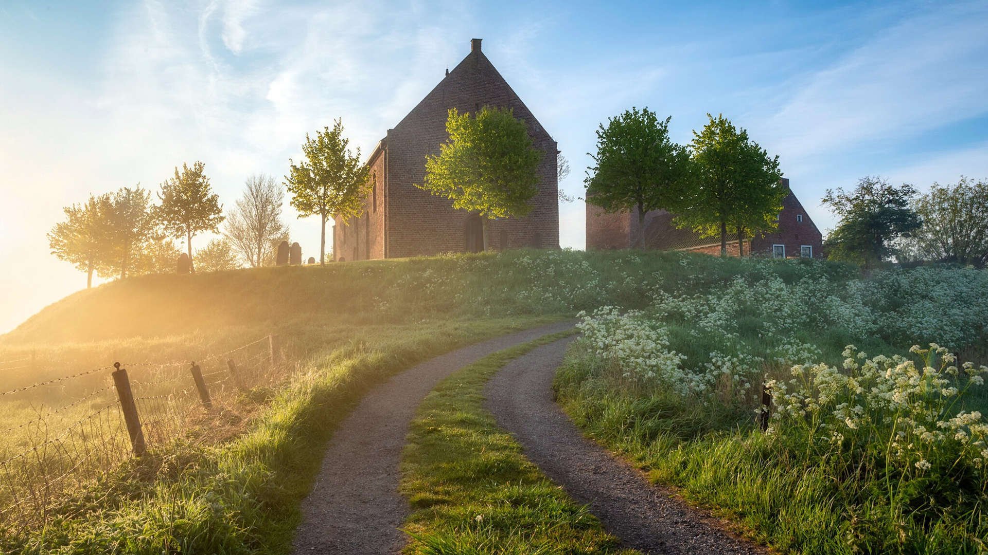 跨界绝杀,韩国球星金玟哉如何在NBA总决赛改写历史