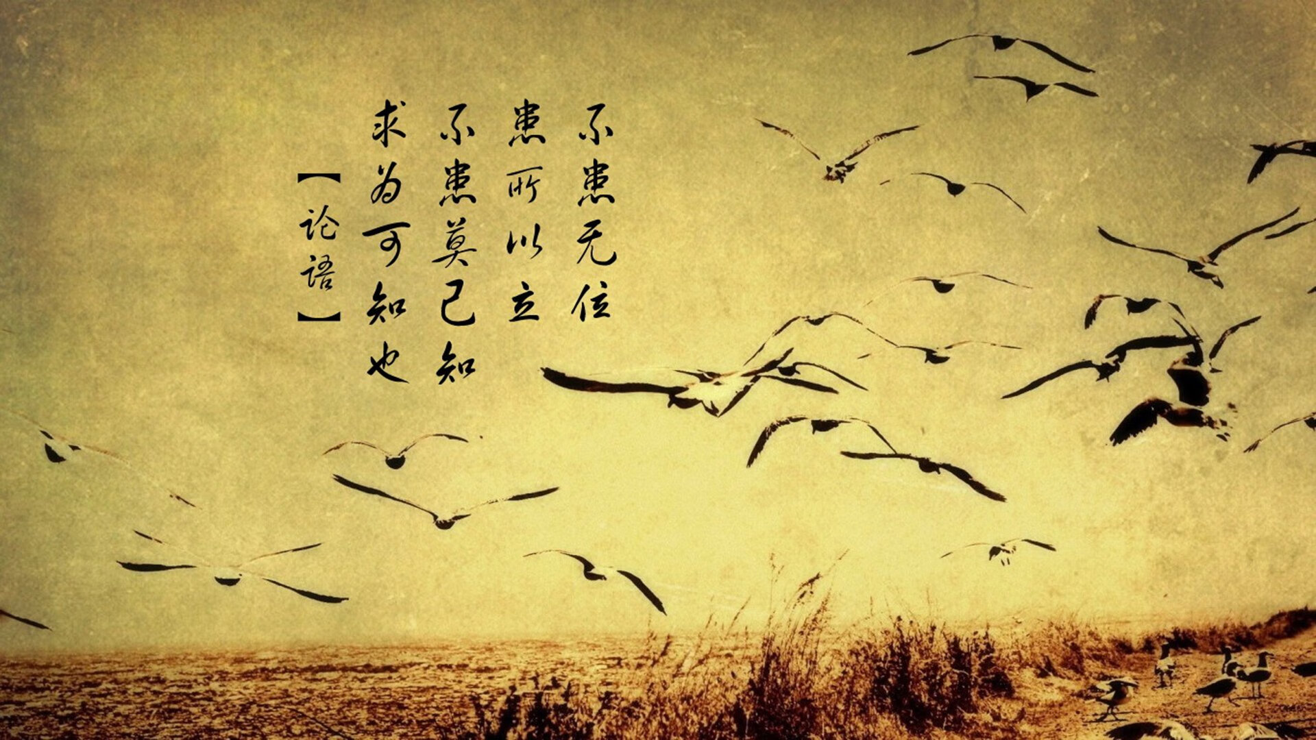 翡冷翠的吟游诗人与非洲雄狮的战争，当孔德在绿茵画布上高能输出