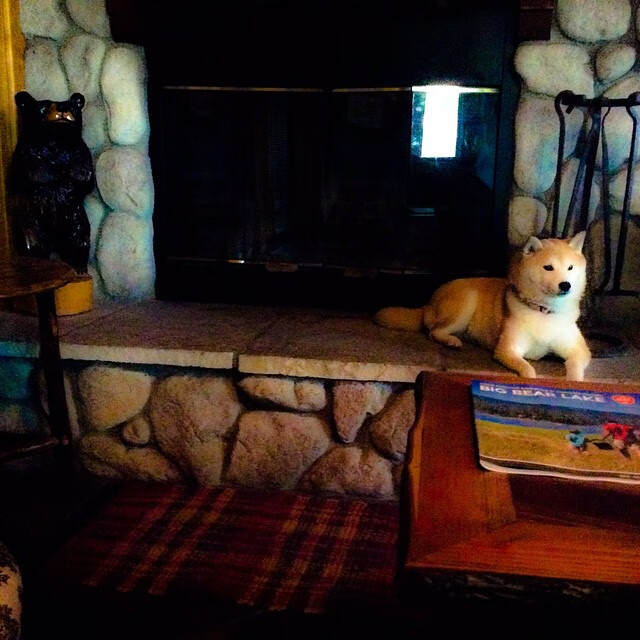 从CBA钢铁洪流到世界杯狂想曲，当浙江的团队哲学遇见2026年的西亚卡姆