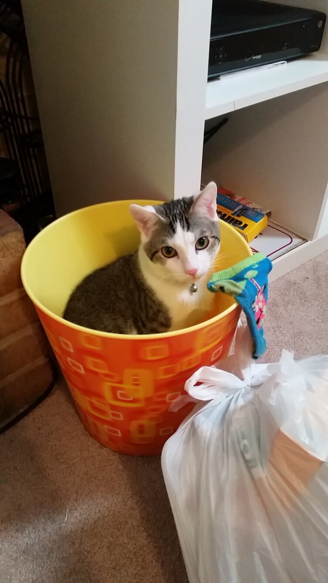 广厦轻取活塞，西亚卡姆末节风暴，单骑接管速胜之战